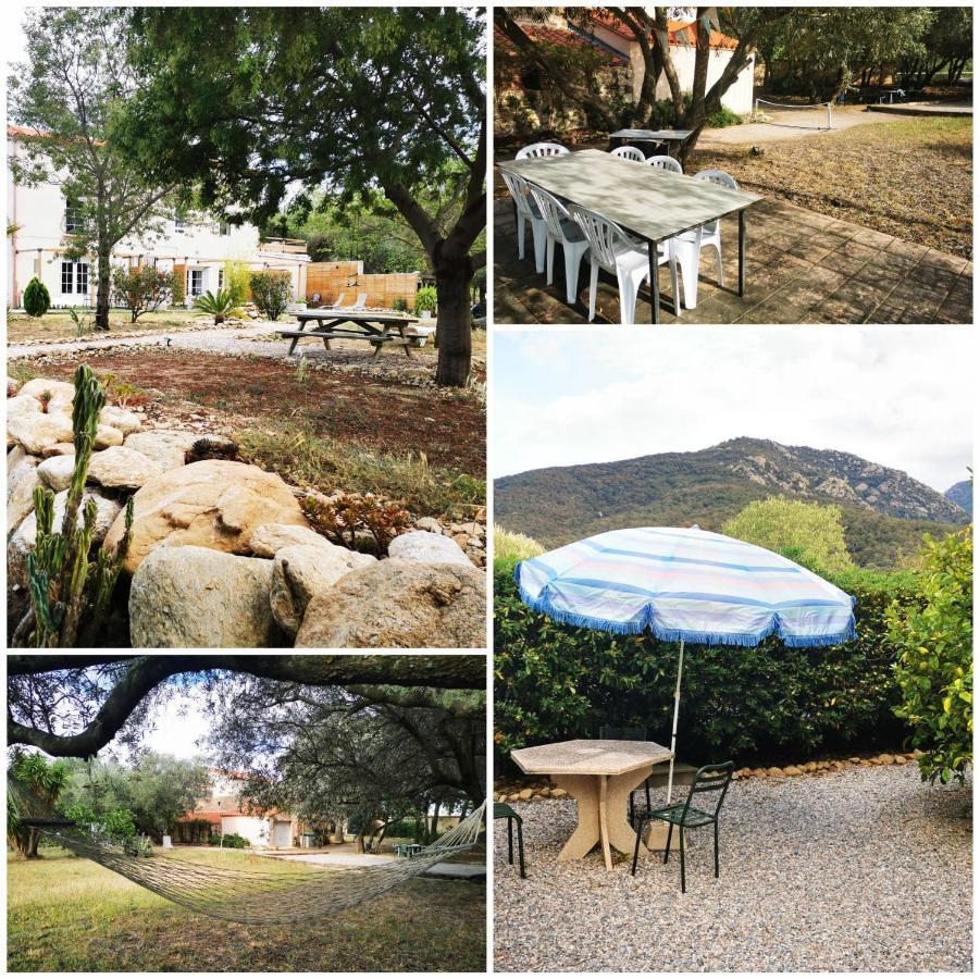 ארגלס-סור-מר Mas Paret Studio Plein Sud - Parc 1 Ha Au Calme מראה חיצוני תמונה